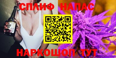 спиды Славгород